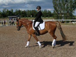 IMG_5106_web